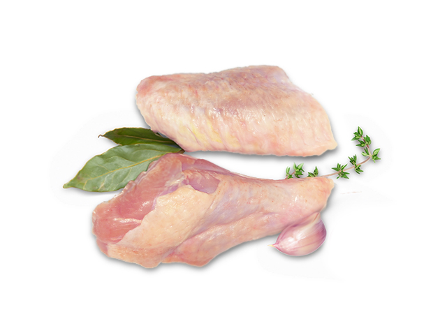Alitas